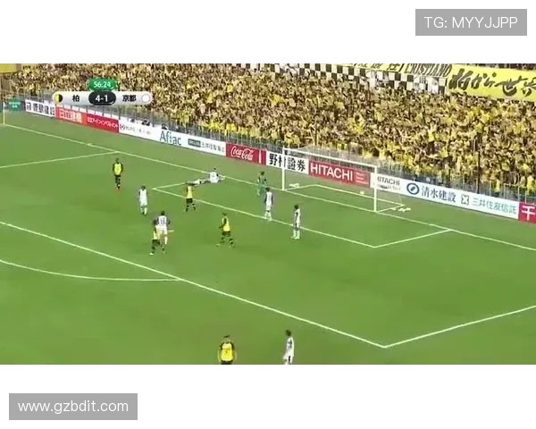 凡因体育四季联赛（上海凡因体育）sports